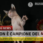 A Million Sviatoslav - Don Sphynx Campione Del Mondo