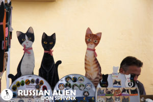 Russian Alien Don Sphynx a Vaprio d'Adda al Festival dei Gatti